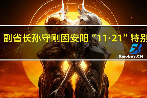 河南省委常委、副省长孙守刚因安阳“11·21”特别重大火灾事故被问责