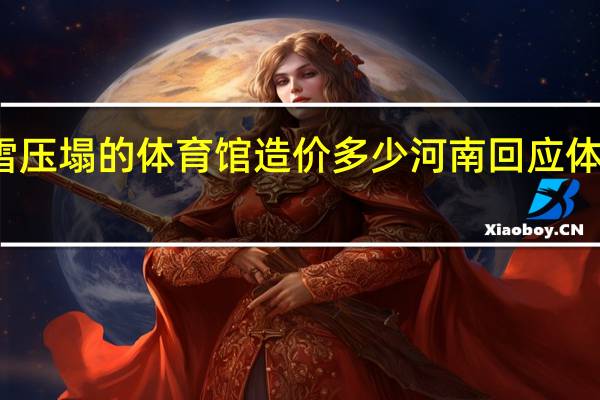 河南被雪压塌的体育馆造价多少 河南回应体育馆被雪压塌