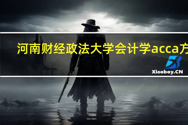 河南财经政法大学会计学acca方向