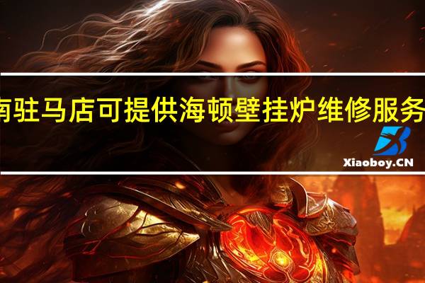 河南驻马店可提供海顿壁挂炉维修服务地址在哪