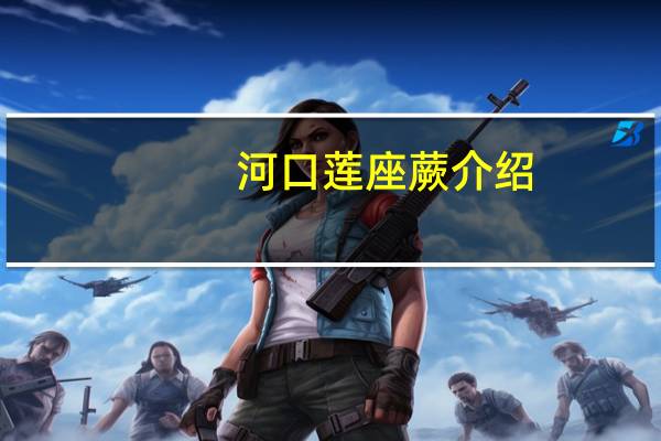 河口莲座蕨介绍