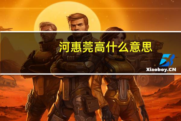 河惠莞高什么意思