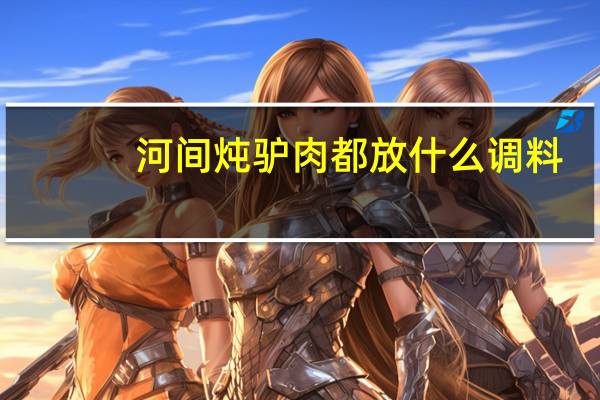 河间炖驴肉都放什么调料