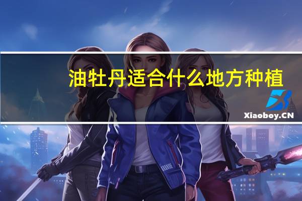 油牡丹适合什么地方种植