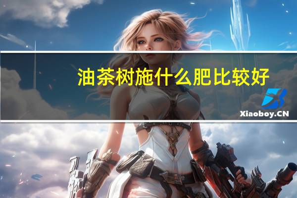 油茶树施什么肥比较好