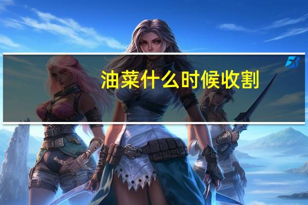 油菜什么时候收割