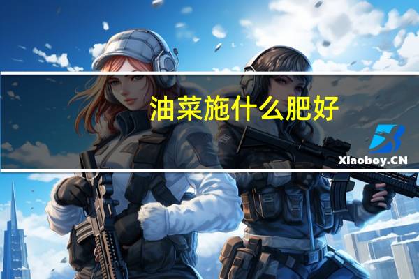 油菜施什么肥好