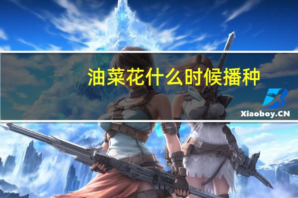 油菜花什么时候播种