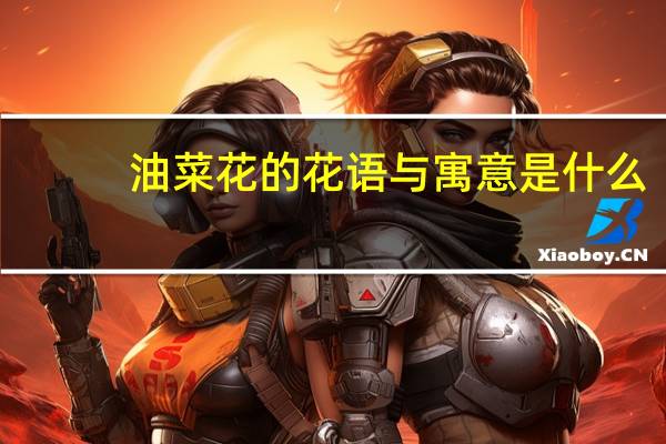 油菜花的花语与寓意是什么