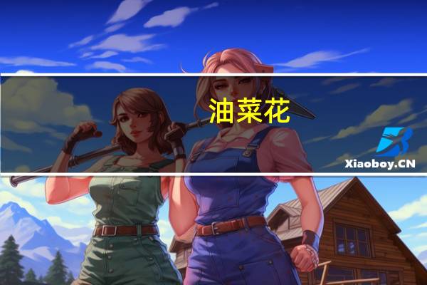 油菜花（关于油菜花的介绍）