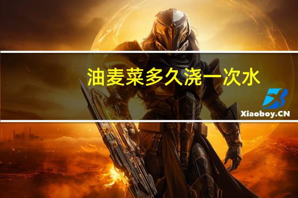 油麦菜多久浇一次水