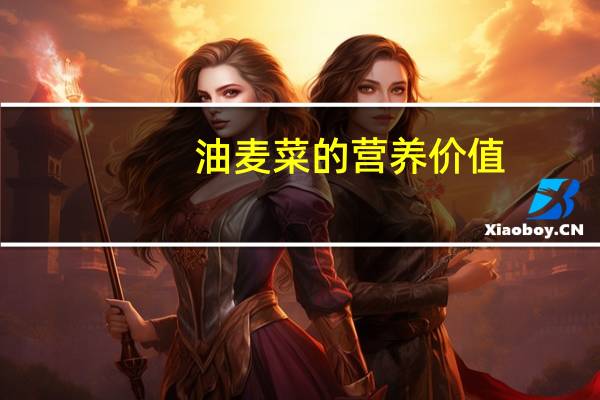 油麦菜的营养价值：油麦菜含有大量维生素和钙、铁、蛋白质、脂肪等营养成分