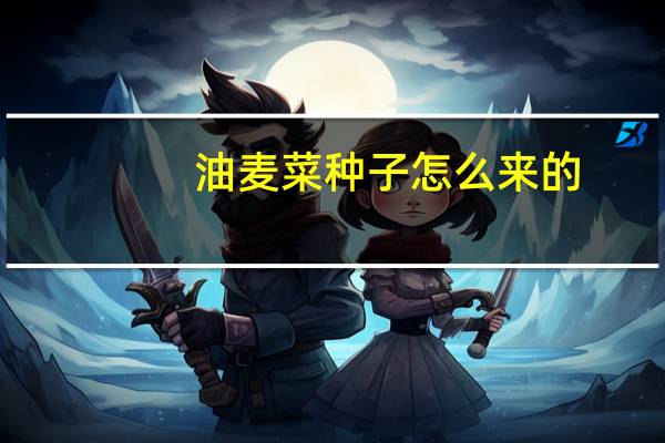 油麦菜种子怎么来的