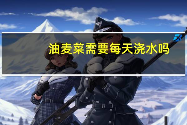 油麦菜需要每天浇水吗