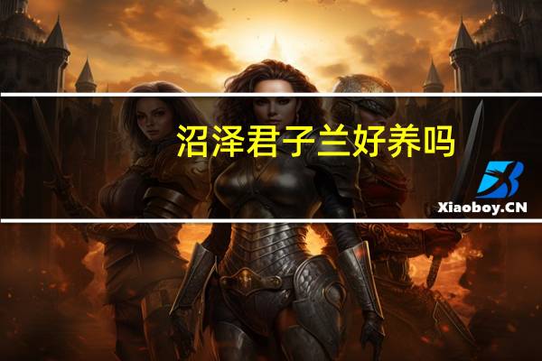 沼泽君子兰好养吗