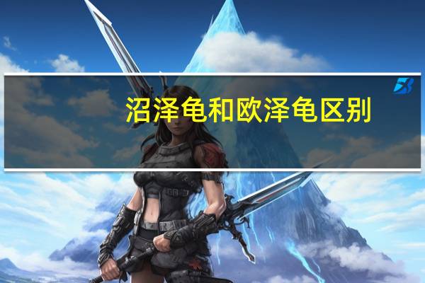 沼泽龟和欧泽龟区别
