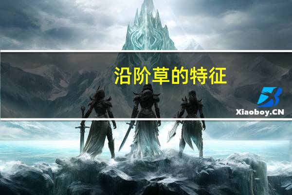 沿阶草的特征