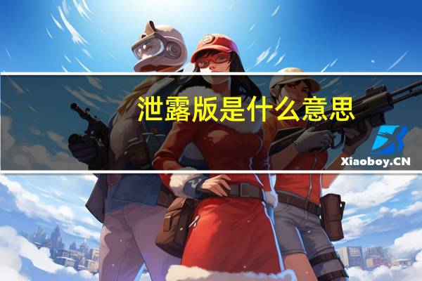 泄露版是什么意思