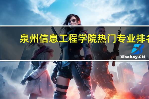 泉州信息工程学院热门专业排名