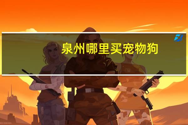 泉州哪里买宠物狗