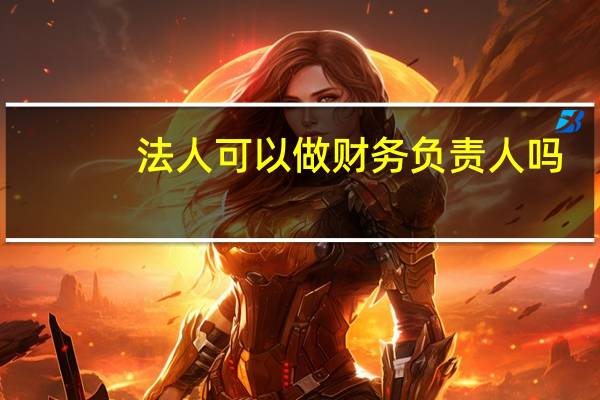 法人可以做财务负责人吗(法人可以做财务负责人)