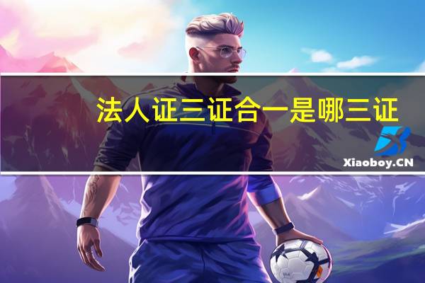 法人证三证合一是哪三证(三证合一后的法人代码证号)