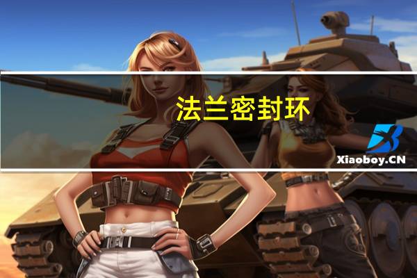 法兰密封环（密封环）