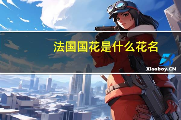 法国国花是什么花名（法国国花）