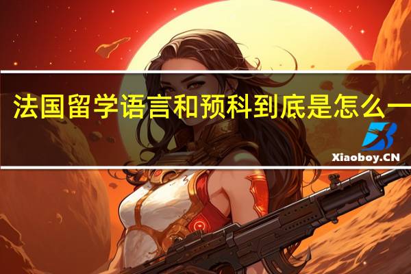 法国留学语言和预科到底是怎么一回事