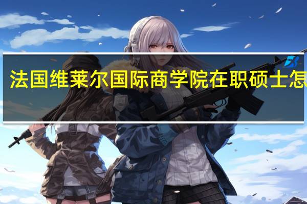 法国维莱尔国际商学院在职硕士怎么样