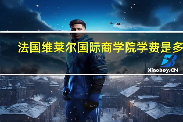 法国维莱尔国际商学院学费是多少