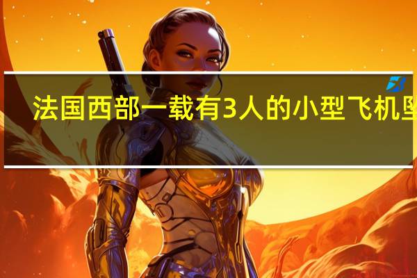 法国西部一载有3人的小型飞机坠毁