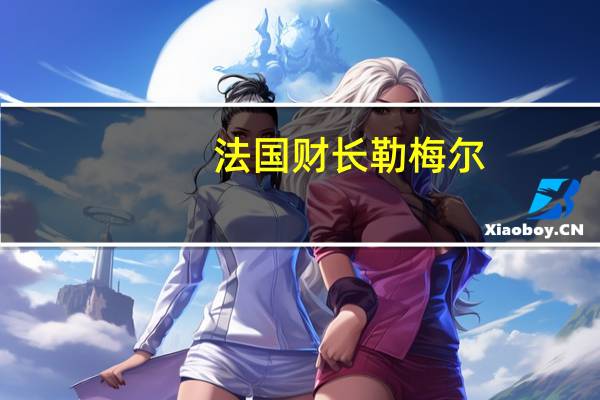 法国财长勒梅尔：我们将继续降低家庭和企业税收