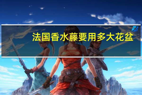 法国香水藤要用多大花盆