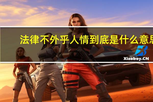 法律不外乎人情到底是什么意思