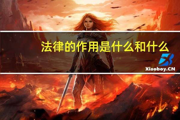 法律的作用是什么和什么（法律的作用是什么）