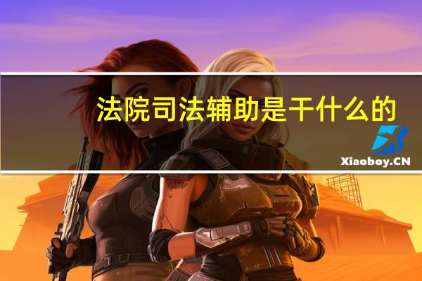 法院司法辅助是干什么的