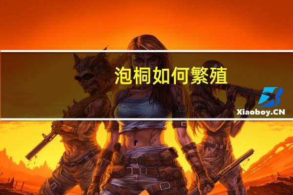 泡桐如何繁殖
