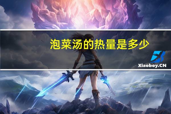 泡菜汤的热量是多少