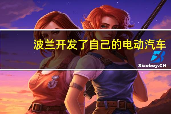波兰开发了自己的电动汽车