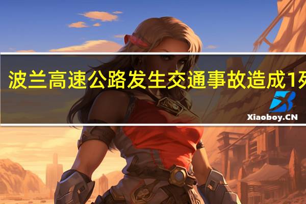 波兰高速公路发生交通事故 造成1死6伤