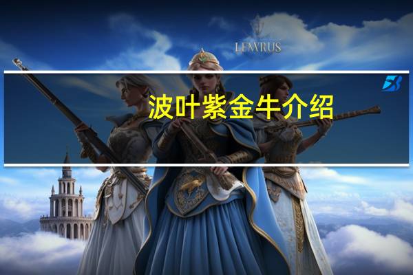 波叶紫金牛介绍