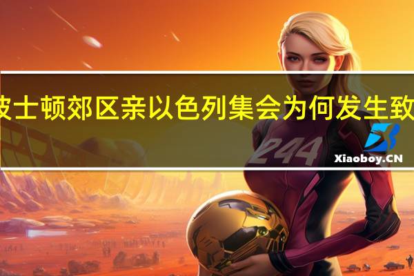 波士顿郊区亲以色列集会为何发生致命冲突？