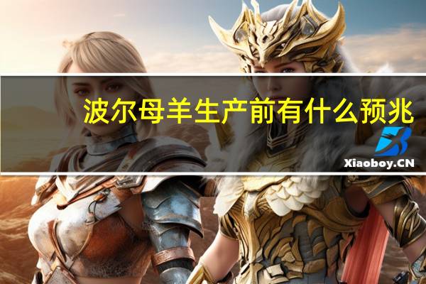 波尔母羊生产前有什么预兆