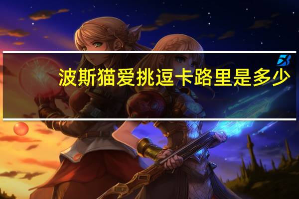 波斯猫 爱挑逗卡路里是多少