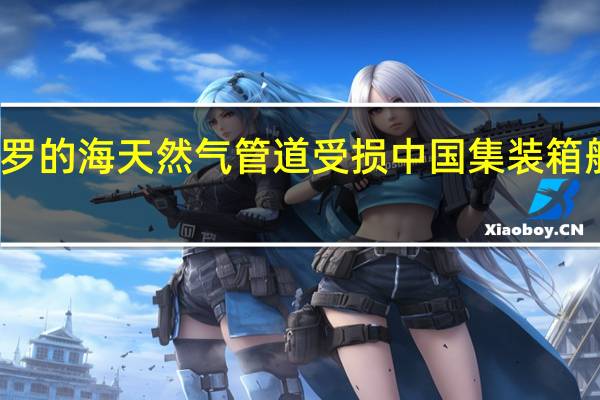 波罗的海天然气管道受损中国集装箱船有嫌疑?外交部:事件在调查中