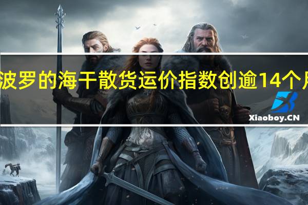 波罗的海干散货运价指数创逾14个月新高