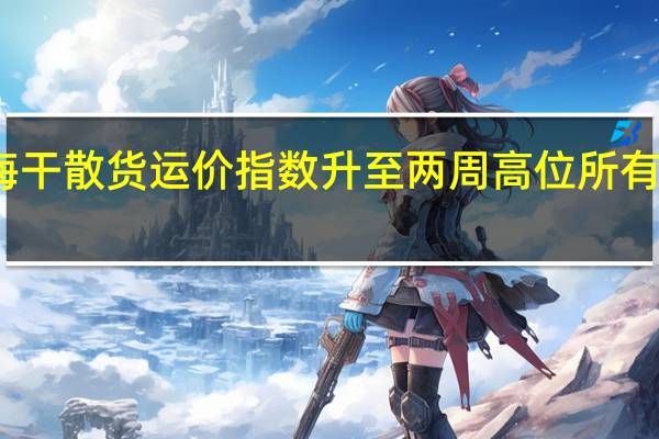 波罗的海干散货运价指数升至两周高位所有船型运费攀升