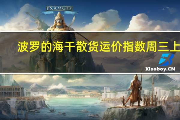 波罗的海干散货运价指数周三上涨