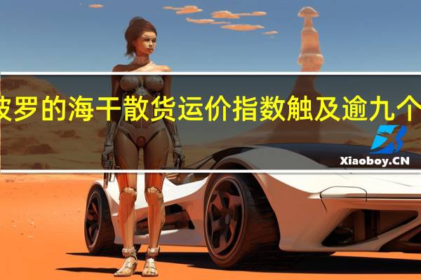 波罗的海干散货运价指数触及逾九个月高位